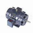 GT0473 Marathon Close Coupled Pump Motor
