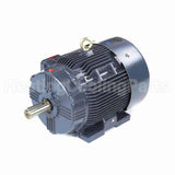 GT1031A Marathon Motor