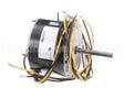 HC34GE238 Carrier 1/10Hp 1Ph 208/230V 800Rpm Mtr