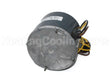 HC39GE210 Carrier 1/4Hp 208/230V 1100/900Rpm