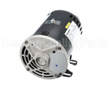 HD56FL651 Carrier 2.4Hp 208/230/460V3Ph1725Rpm56