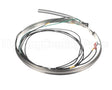 HTR15191 Trane Belt 230-240V 90/100W 76"Lds