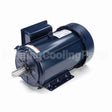 I217 Marathon Motor