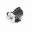 J056 Marathon Jet Pump Motor
