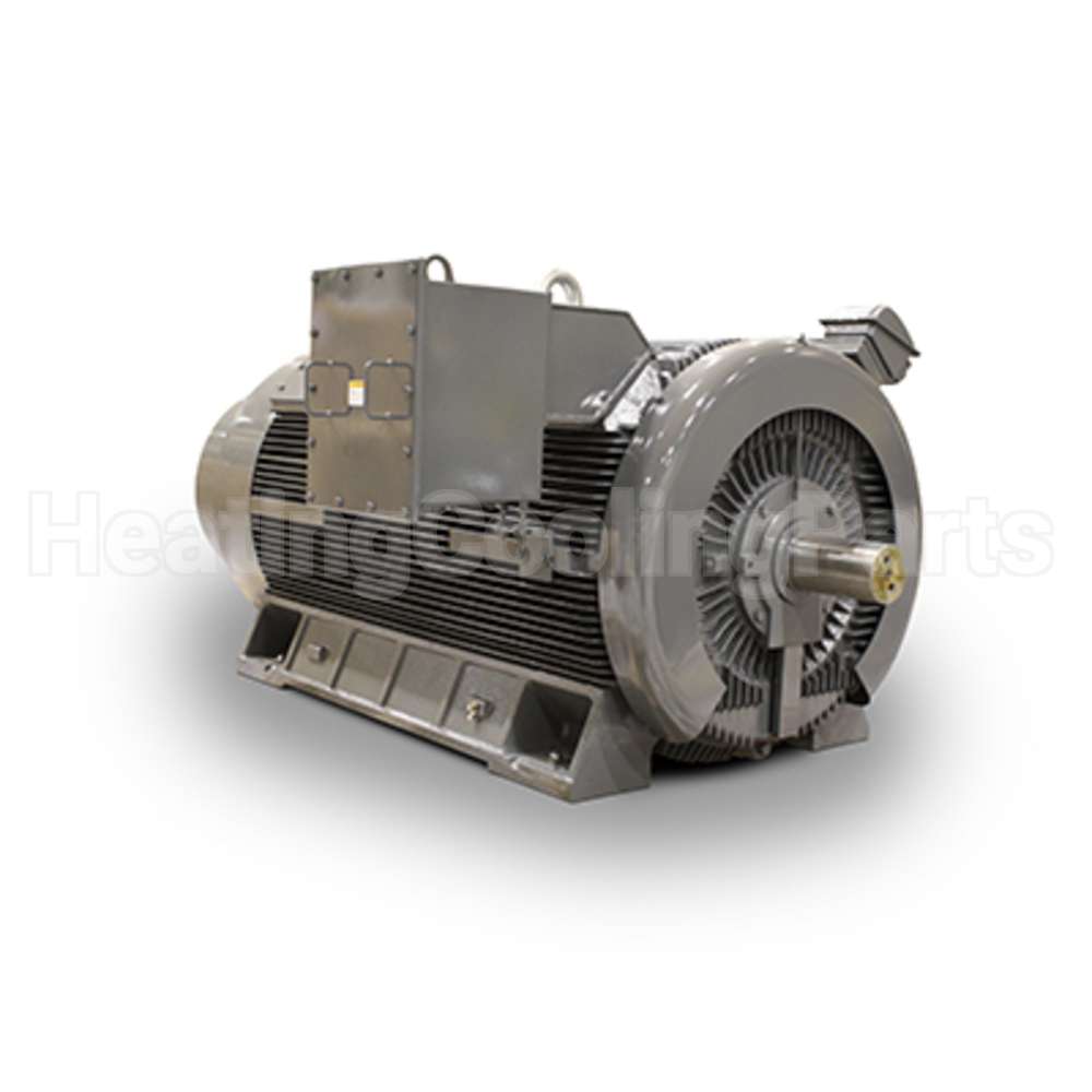 JH09008 Teco Medium Voltage Motor