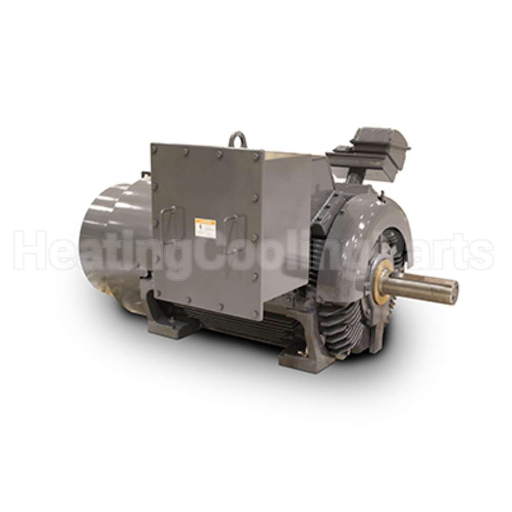 JH20004 Teco Medium Voltage Motor