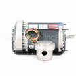 K033 Marathon Motor