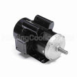 K101V1 Century Motor