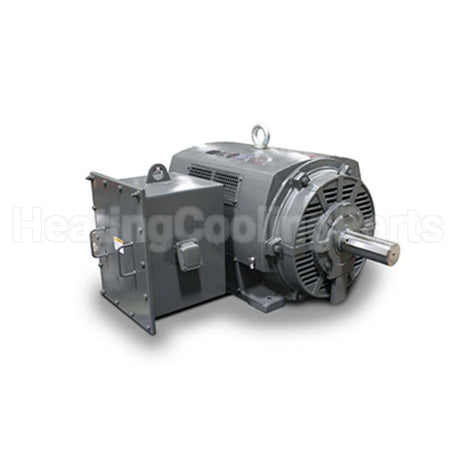 KF8002 Teco Medium Voltage Motor