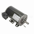 KG319 Marathon Motor