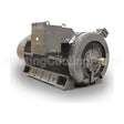 KG4506R Teco Medium Voltage Motor