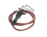 LH33WZ004 Carrier Ignitor