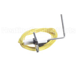 LH33WZ005 Carrier Flame Sensor Assembly