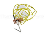 LH33WZ009A Carrier Electrode Sensor