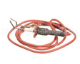 LH33WZ010 Carrier Ignitor