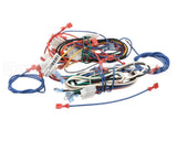 M0036007R Nordyne Wiring Harness