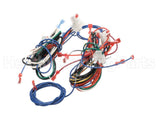 M0036007R Nordyne Wiring Harness