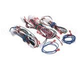 M0036017R Nordyne Wiring Harness