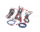 M0036017R Nordyne Wiring Harness