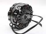 MOT7940 Trane 1/20Hp 120V Open Drip Motor
