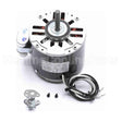 OTY1024 Century Oem Replacement Motor