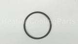 P04080 Xylem-Bell & Gossett Body Gasket
