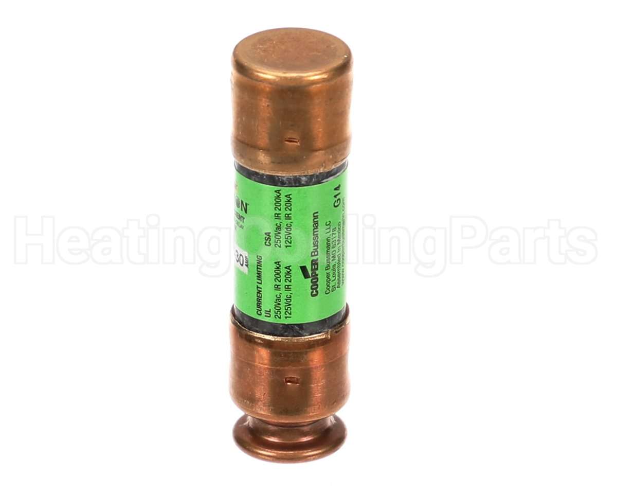 P09190 Aaon Fuse Elec 30A/250V Class Rk5