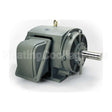 P10002 Teco Medium Voltage Motor