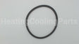 P15691 Xylem-Bell & Gossett Body Gasket