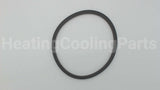 P15691 Xylem-Bell & Gossett Body Gasket