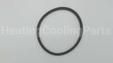 P15691 Xylem-Bell & Gossett Body Gasket