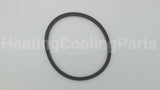 P15691 Xylem-Bell & Gossett Body Gasket