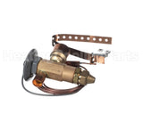 P47520 Aaon Txv