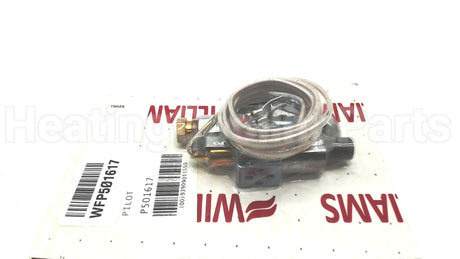 P501617 Williams Comfort Products Pilot Assembly