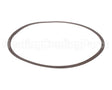 P58542 Xylem-Bell & Gossett Adapt Ring Gasket