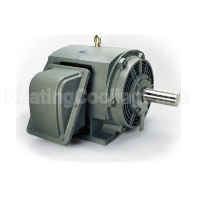 P7002 Teco Medium Voltage Motor