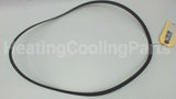 P80767 Xylem-Bell & Gossett Volute Gasket