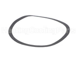 P80815 Xylem-Bell & Gossett Gasket