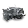 PG5008 Teco Medium Voltage Motor