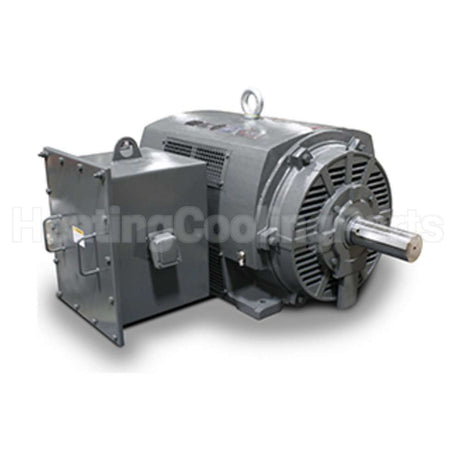 PG7004 Teco Medium Voltage Motor