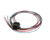 PLU1024 Trane Plug Red Blue Black Wire/Brass