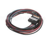 PLU1177 Trane Plug; Scroll Compressor