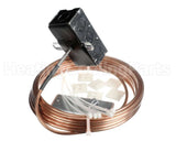 R17090 Aaon Temp/Rh Duct Sensor,24Ft