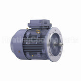 R252 Marathon Motor