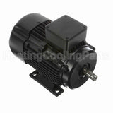 R313A Marathon Motor