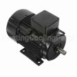 R313A Marathon Motor