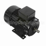 R313A Marathon Motor