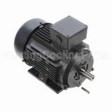 R317A Marathon Motor