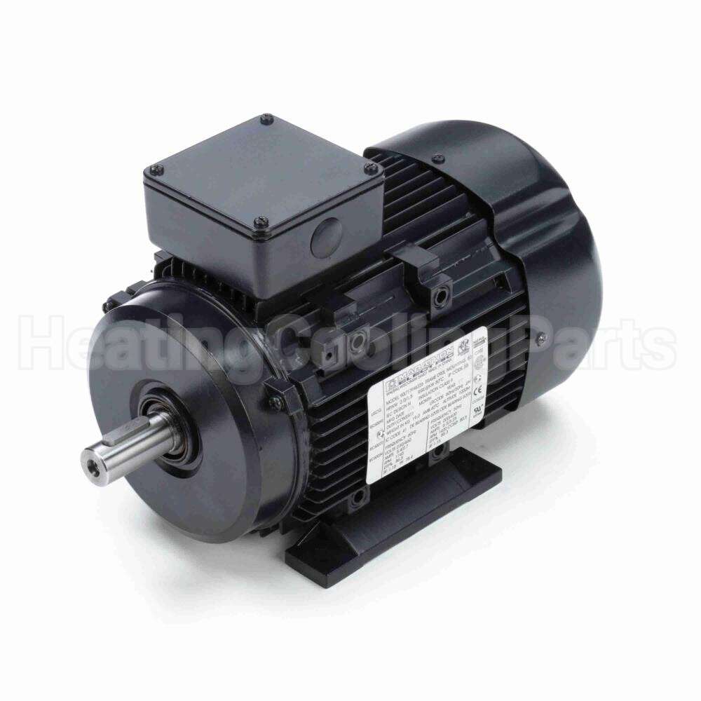 R319A Marathon Motor