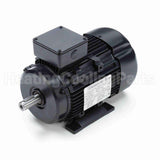 R319A Marathon Motor